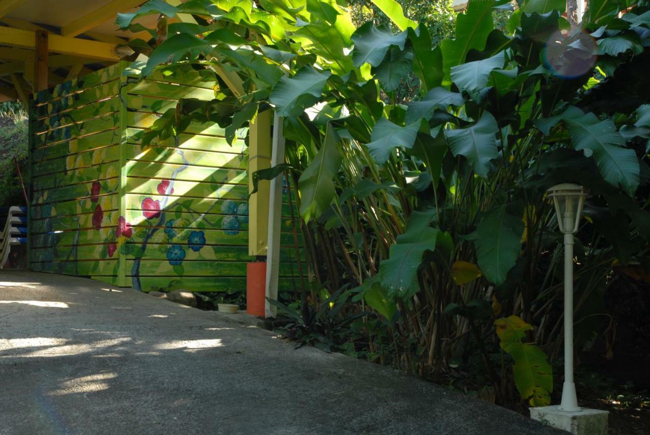 Green House Deshaies Exterior photo